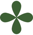 Program terapeutic 10 union